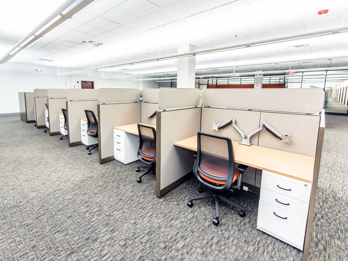 PetIQ-Phase-1-WEB-2_rfw