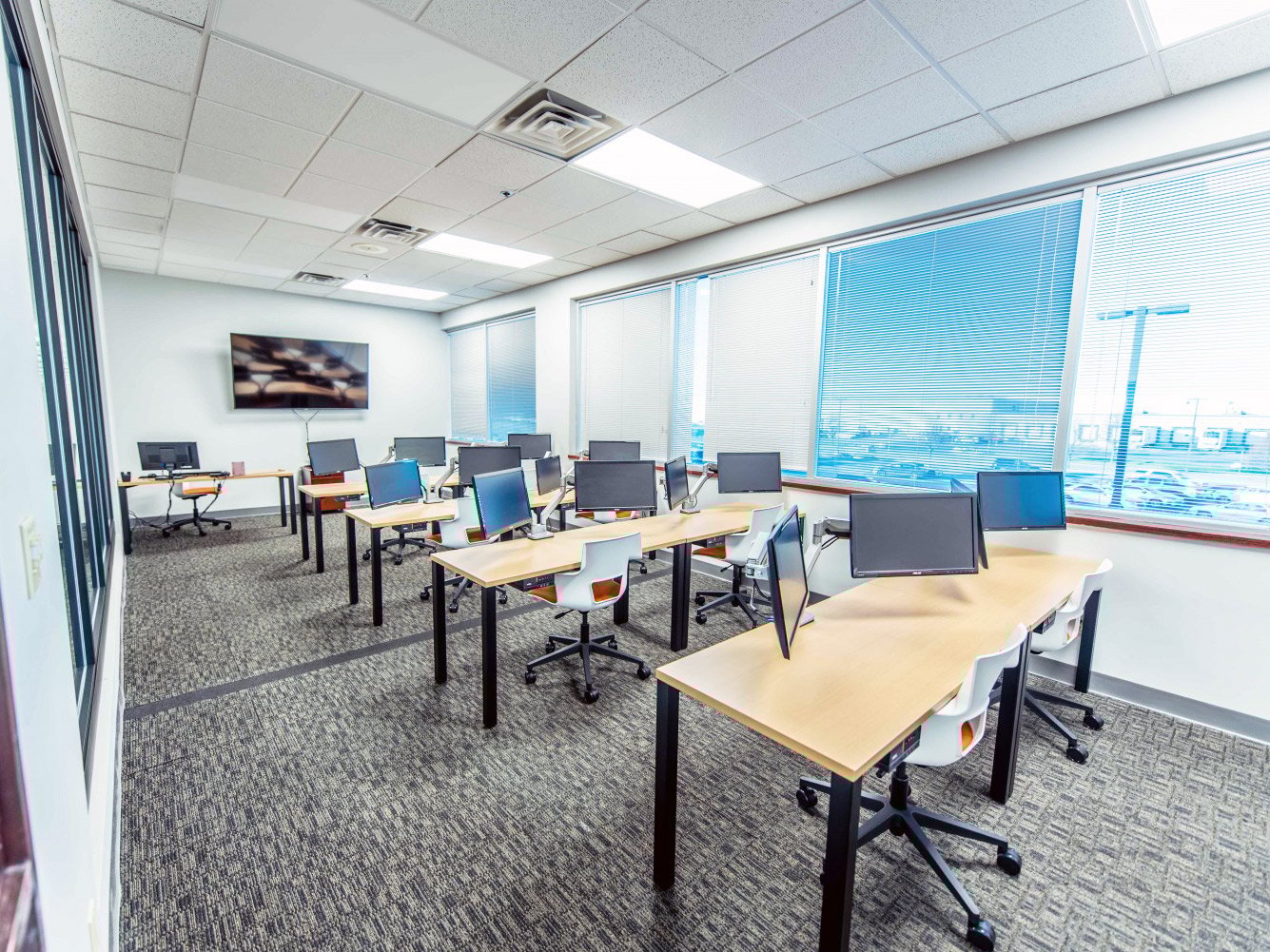 PetIQ-Phase-1-WEB-3_rfw