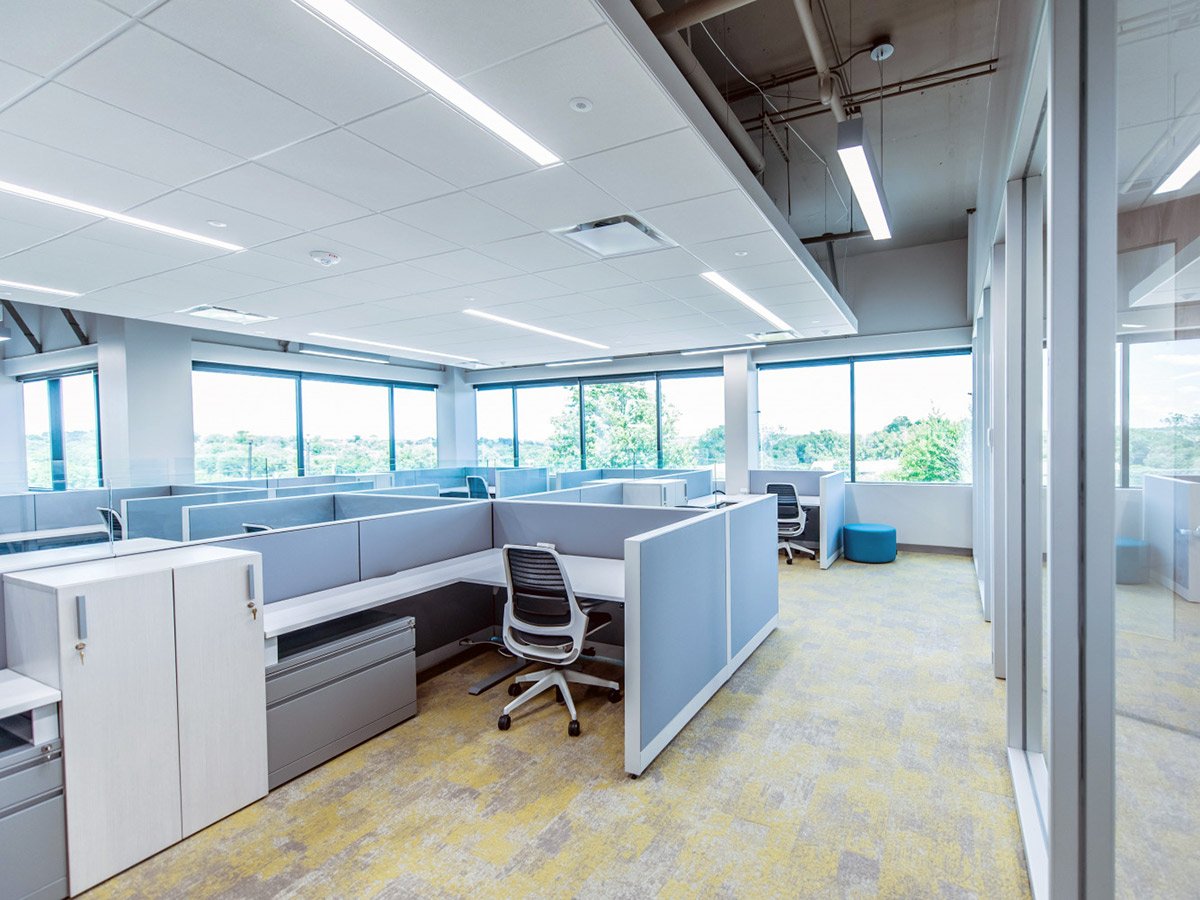 Travelex-Phase-1-WEB-1_rfw